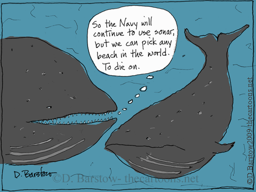 whales are dying from Navy sonar